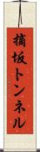 摘坂トンネル Scroll