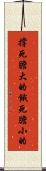 撐死膽大的，餓死膽小的 Scroll