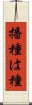 播種 Scroll