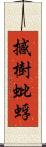 撼樹蚍蜉 Scroll