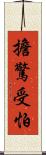 擔驚受怕 Scroll