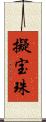 擬宝珠 Scroll