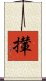 攆 Scroll