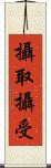 攝取攝受 Scroll