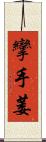 攣 Scroll
