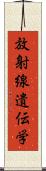 放射線遺伝学 Scroll