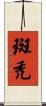 斑禿 Scroll