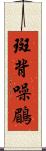 斑背噪鶥 Scroll