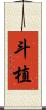 斗植 Scroll