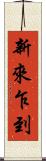 新來乍到 Scroll