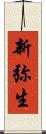 新弥生 Scroll