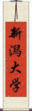 新潟大学 Scroll