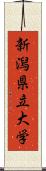 新潟県立大学 Scroll