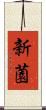 新薗 Scroll