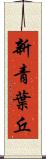 新青葉丘 Scroll
