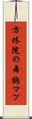方休院の舞鶴マツ Scroll