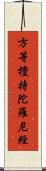 方等檀持陀羅尼經 Scroll