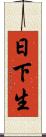 日下生 Scroll
