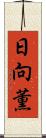 日向薫 Scroll