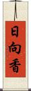 日向香 Scroll