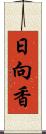 日向香 Scroll