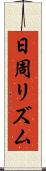 日周リズム Scroll