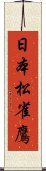 日本松雀鷹 Scroll