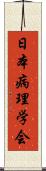 日本病理学会 Scroll