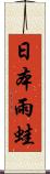 日本雨蛙 Scroll