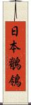 日本鶺鴒 Scroll