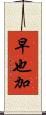 早也加 Scroll