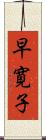 早寛子 Scroll