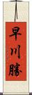 早川勝 Scroll