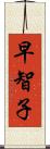 早智子 Scroll