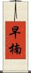 早楠 Scroll