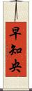 早知央 Scroll
