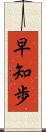 早知歩 Scroll