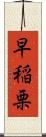 早稲栗 Scroll