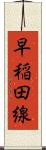 早稲田線 Scroll