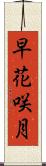 早花咲月 Scroll