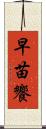 早苗饗 Scroll