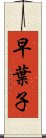 早葉子 Scroll