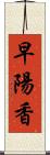 早陽香 Scroll