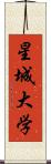 星城大学 Scroll