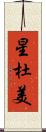 星杜美 Scroll