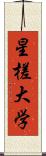 星槎大学 Scroll