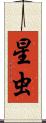 星虫 Scroll