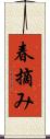 春摘み Scroll