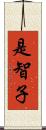 是智子 Scroll