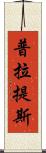 普拉提斯 Scroll